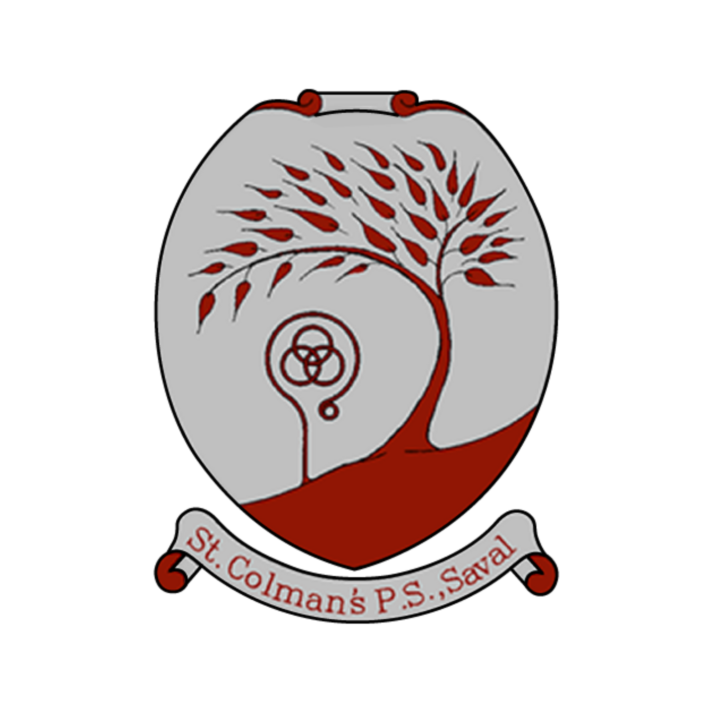 St Colmans Saval MULTI SPORTS PRIMARY 1 - PRIMARY 3