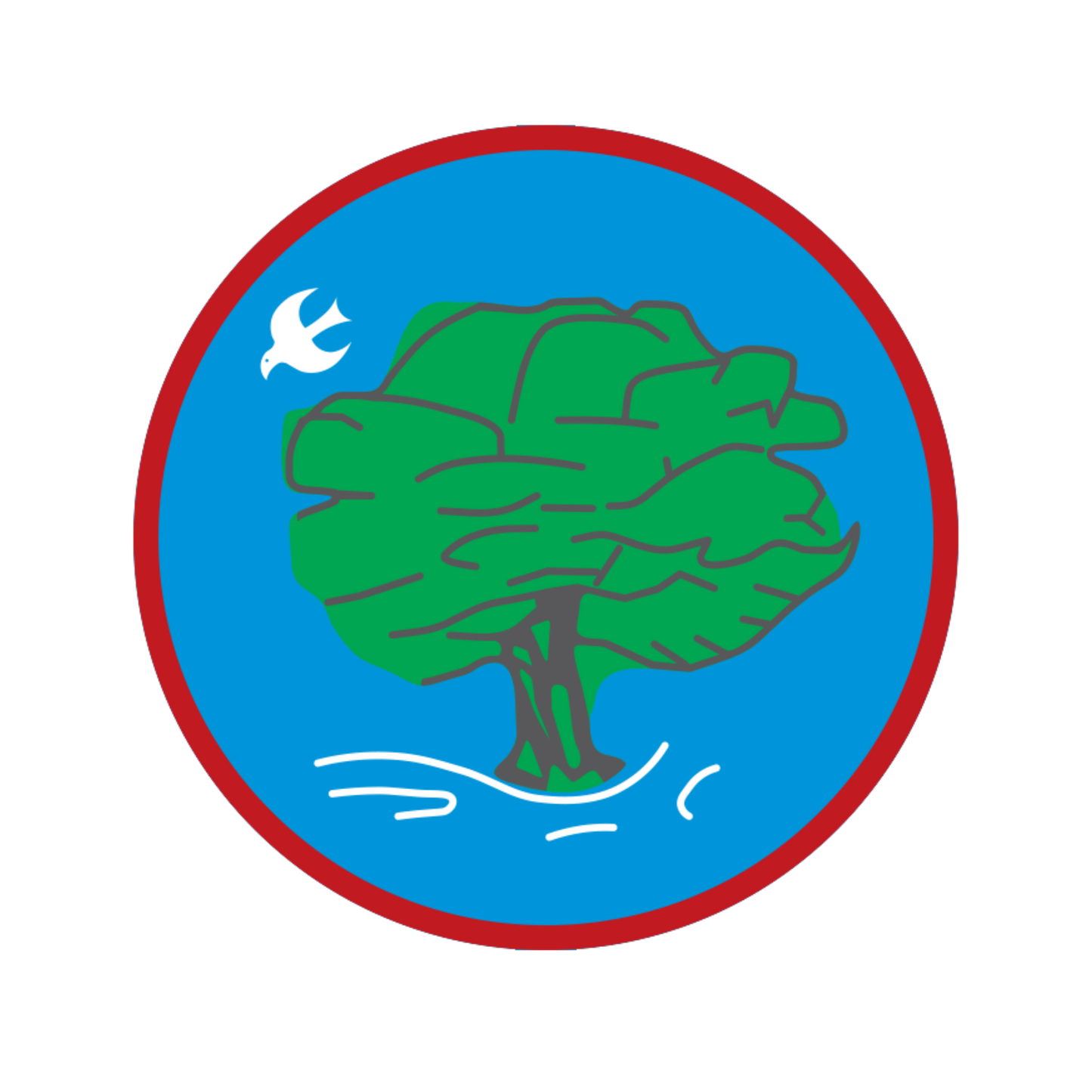 St Caolan’s Darraghcross MULTI SPORTS PRIMARY 3 - PRIMARY 7